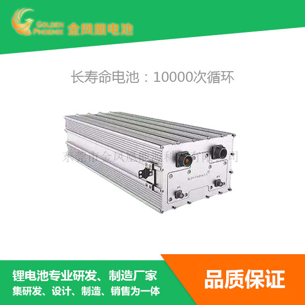 50.6V 30Ah...