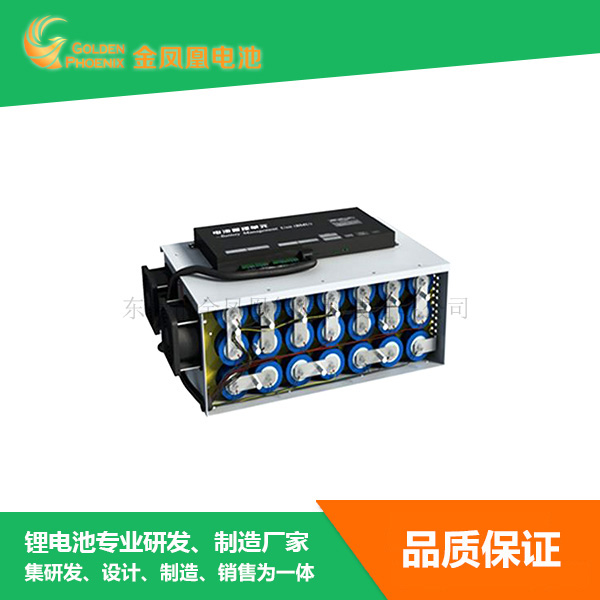 48V 30Ah锂电...