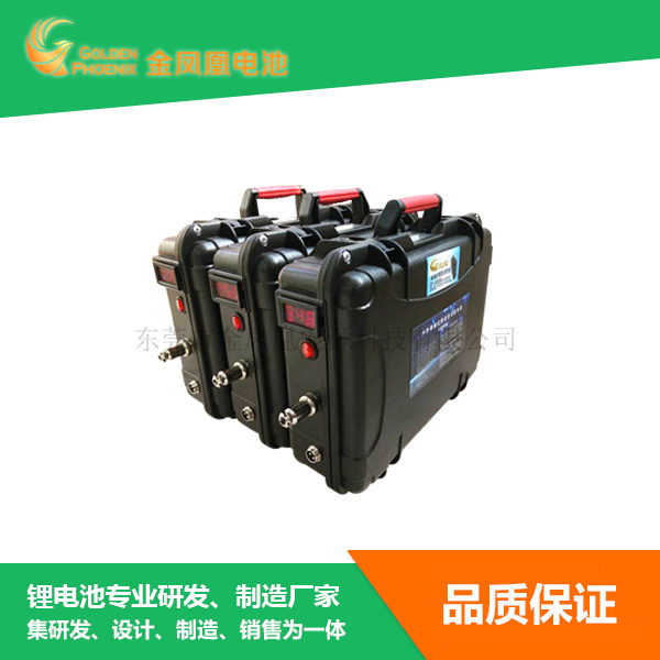 48V 20Ah锂电...