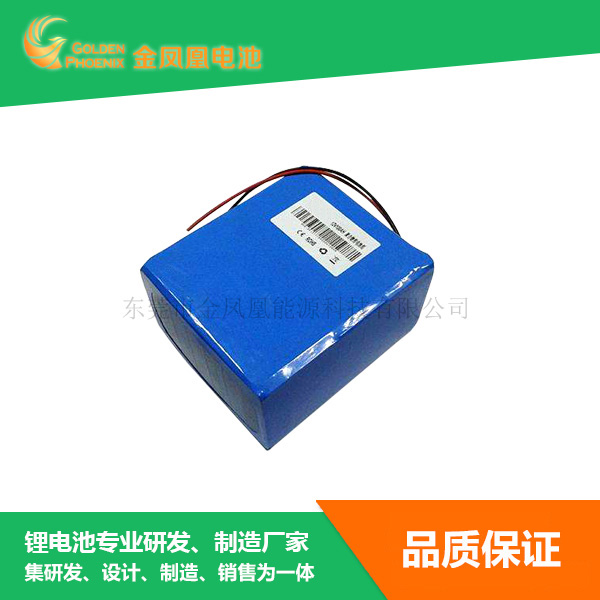 36.0V 5Ah锂...