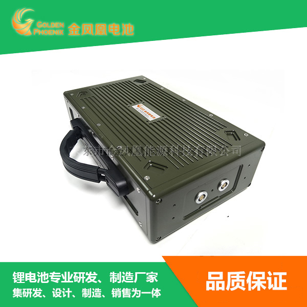12.8V60Ah军...
