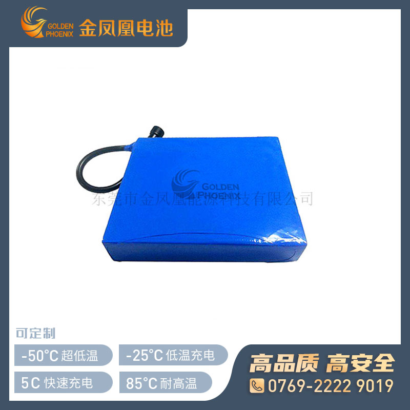 25.9V 5Ah锂电池