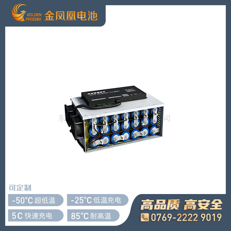 48V 30Ah锂电池
