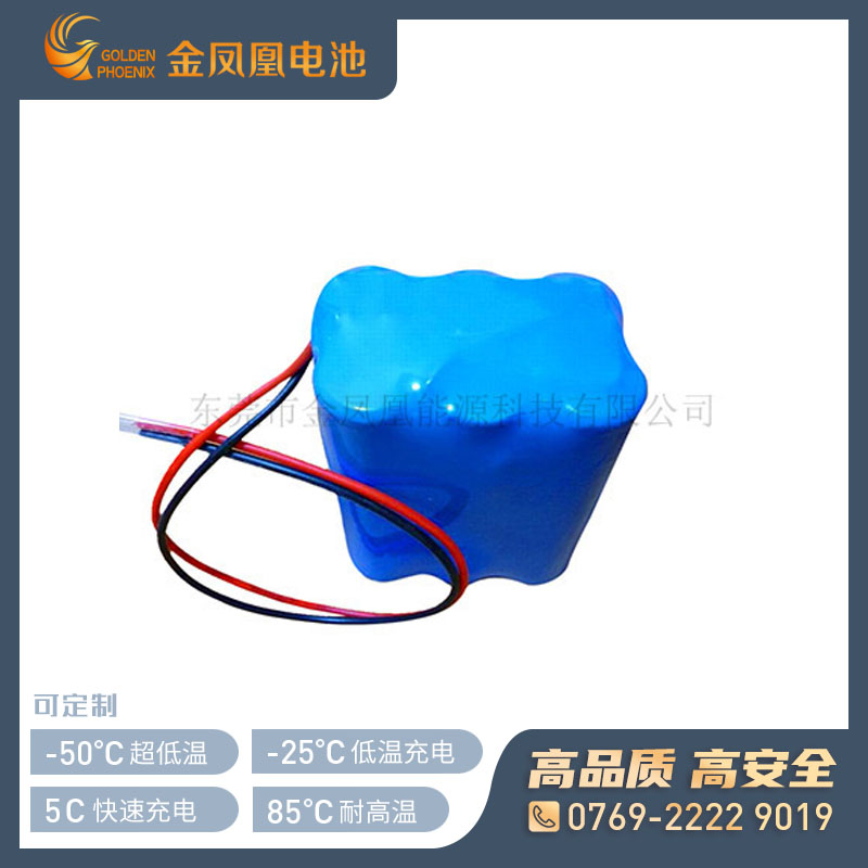 11.1V 4400mAh仪器仪表电池