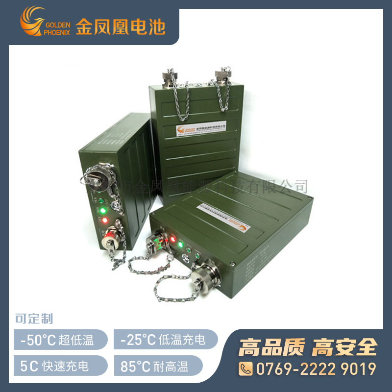 JFH-869-00(28.8V13.5Ah)军用锂电池组