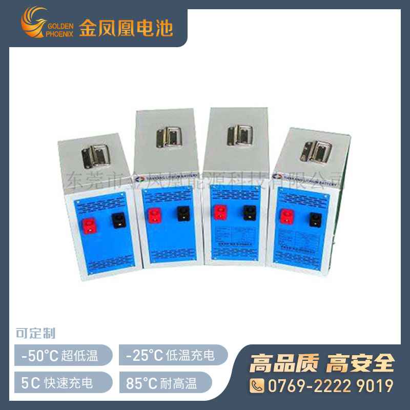 24V 30Ah锂电池