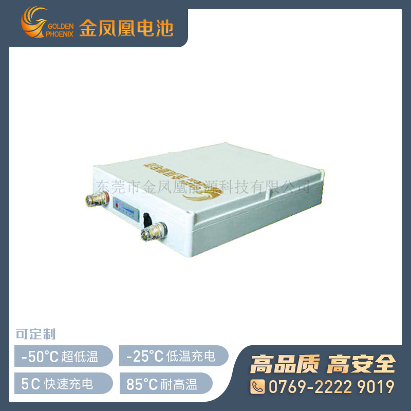 24.0V 25.0Ah锂电池