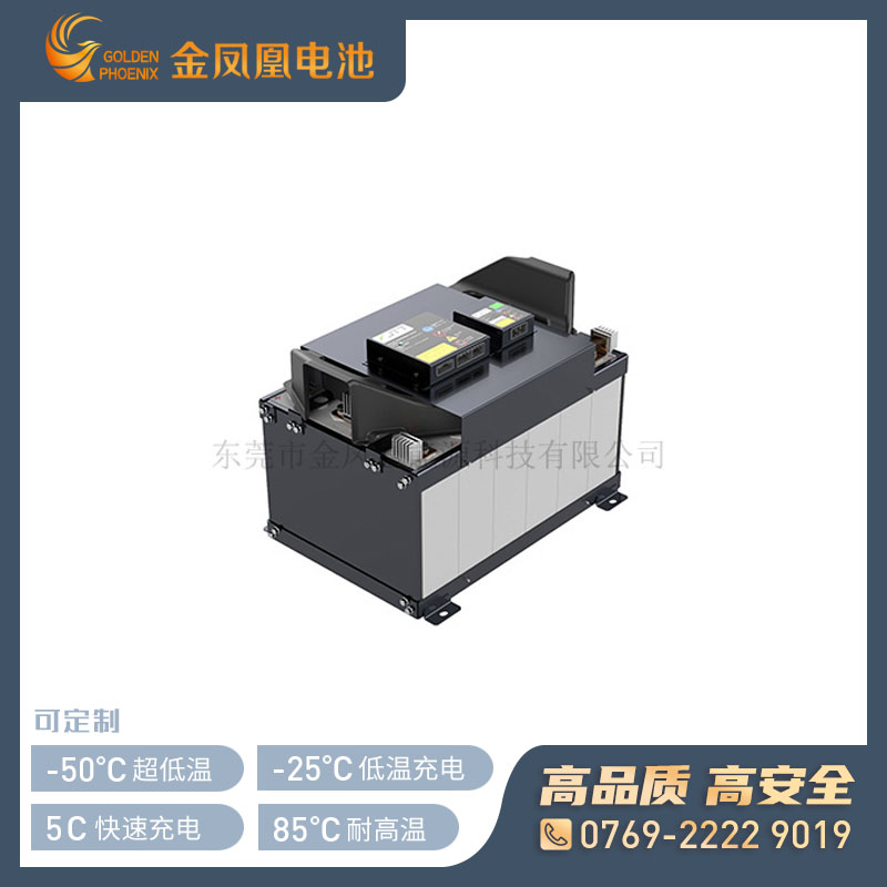 48.0V 100Ah锂电池