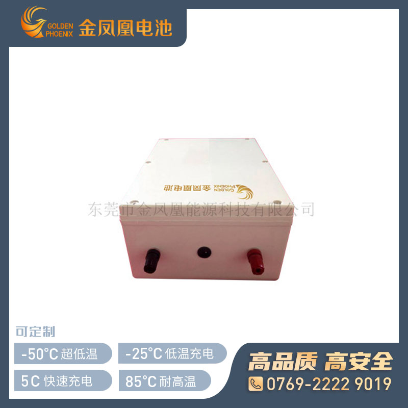 48.0V 20Ah锂电池