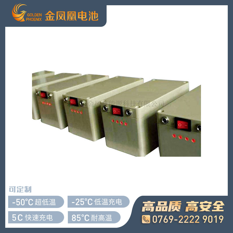 48.0V 25Ah锂电池