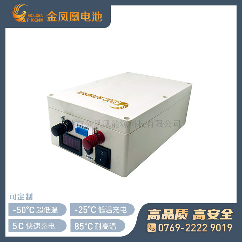 48.0V 20.0Ah锂电池