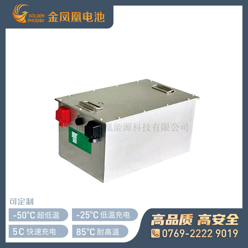 48.0V 20Ah锂电池