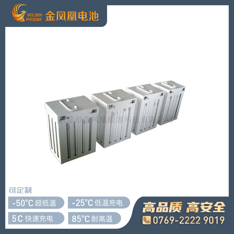 48.0V 100.0Ah锂电池