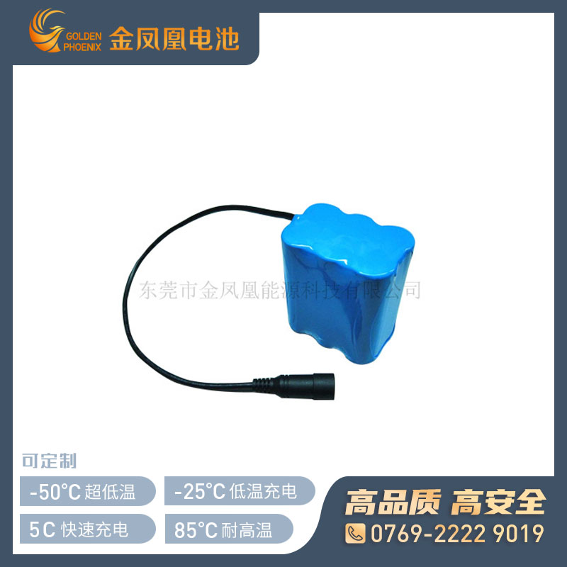 11.1V 5000mAh电池组