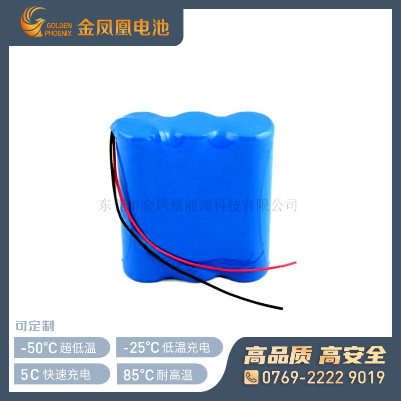 11.1V 2500mAh电池组