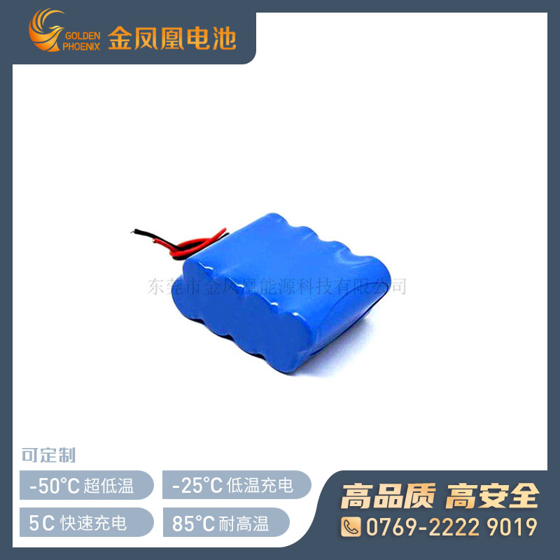 7.4V 10.0Ah电池组