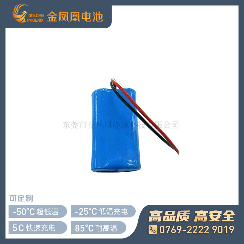 7.4V 2600mAh电池组