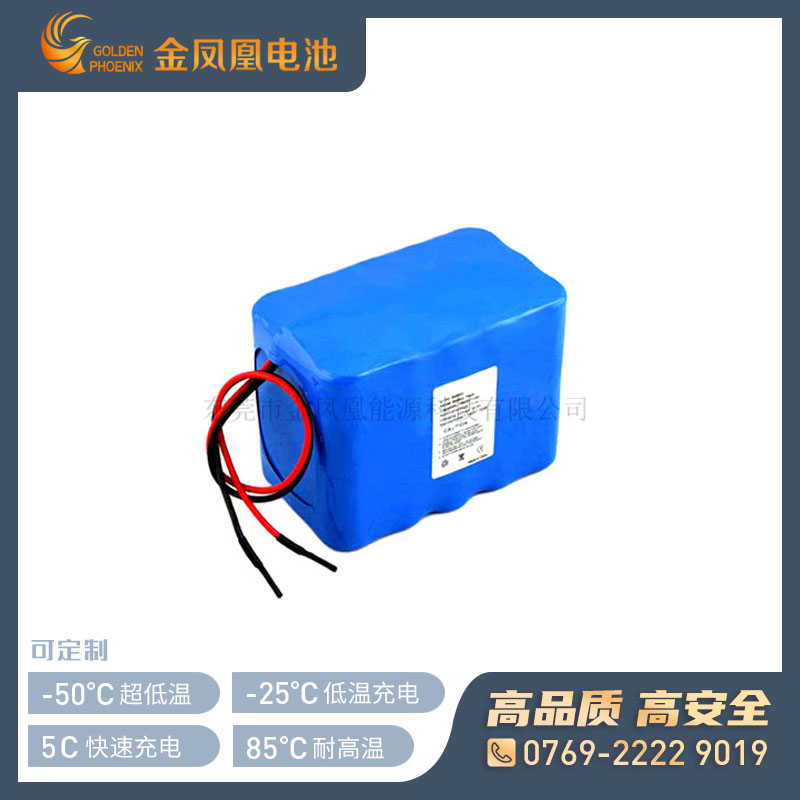 11.1V 12.5Ah电池组