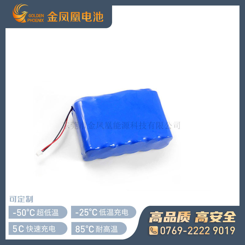 11.1V 10.0Ah电池组