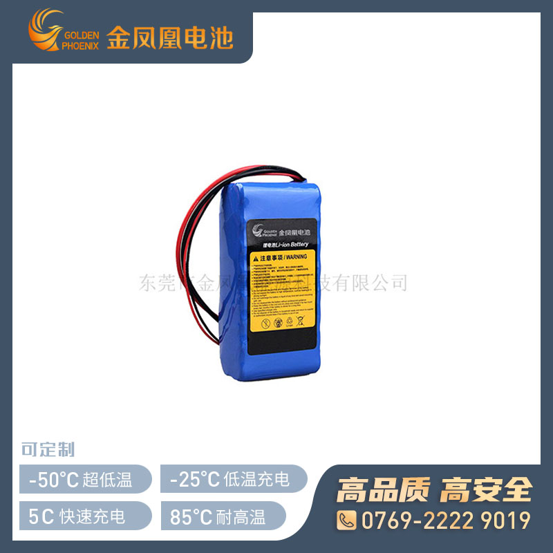 25.9V 10Ah电池组