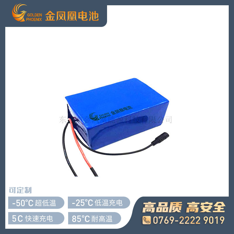 25.6V 9000mAh电池组