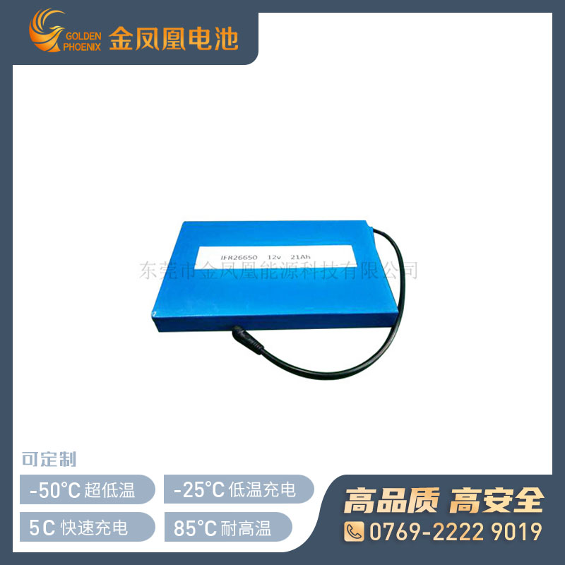 12.8V 21.0Ah电池组