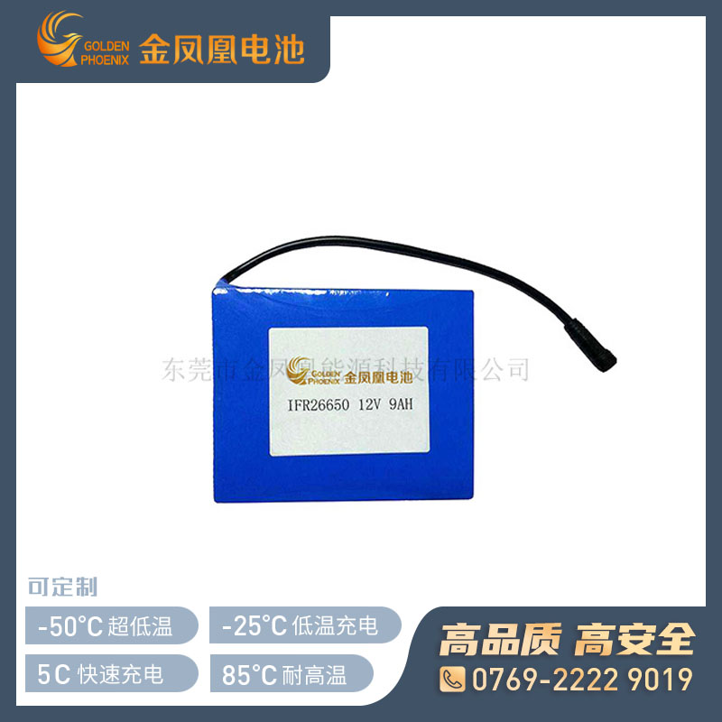 12.8V 9Ah电池组