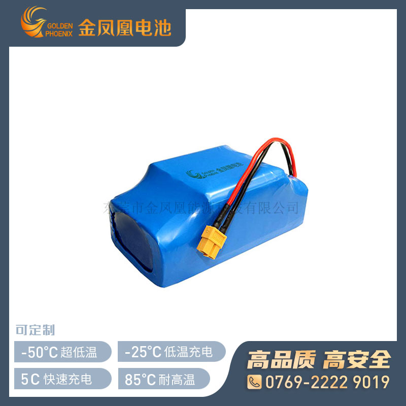 12.8V 15.0Ah电池组