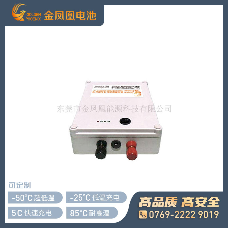 36.0V 9Ah动力锂电池