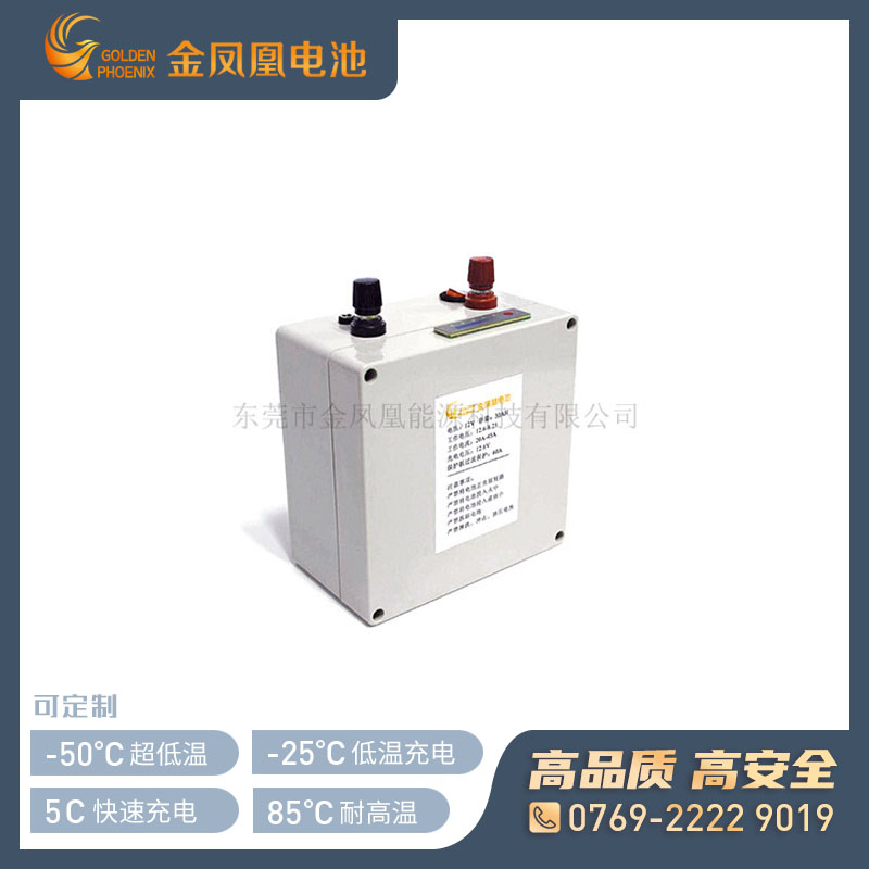 11.1V 30.0Ah动力锂电池