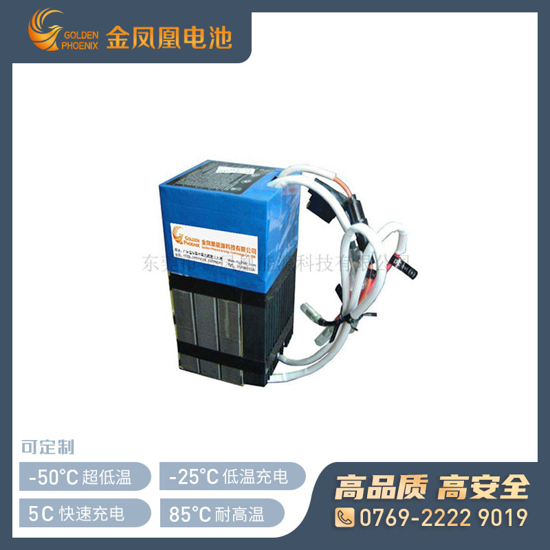 25.9 20.0Ah动力锂电池