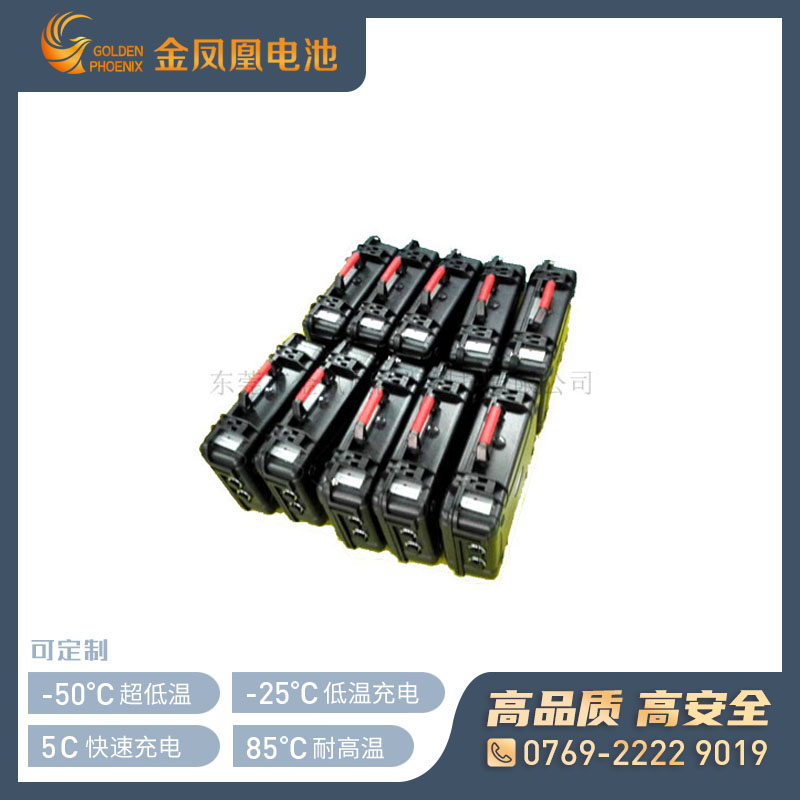 25.9 20.0Ah动力锂电池