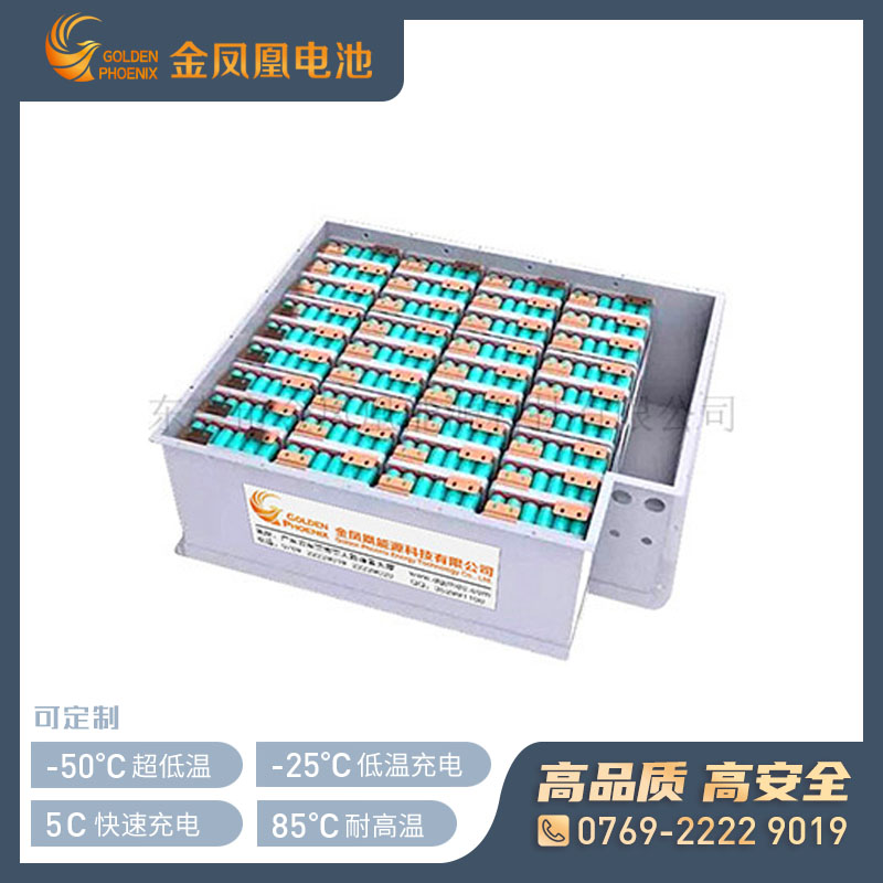 48.0V 100Ah高电压电池