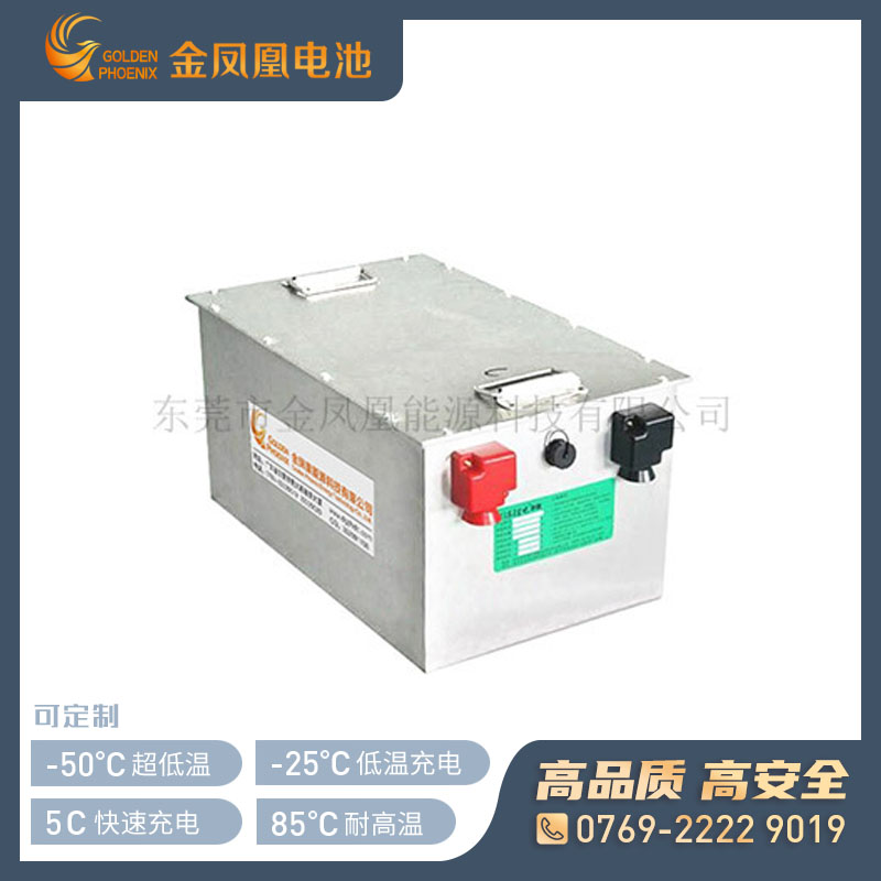48V 20Ah高电压电池
