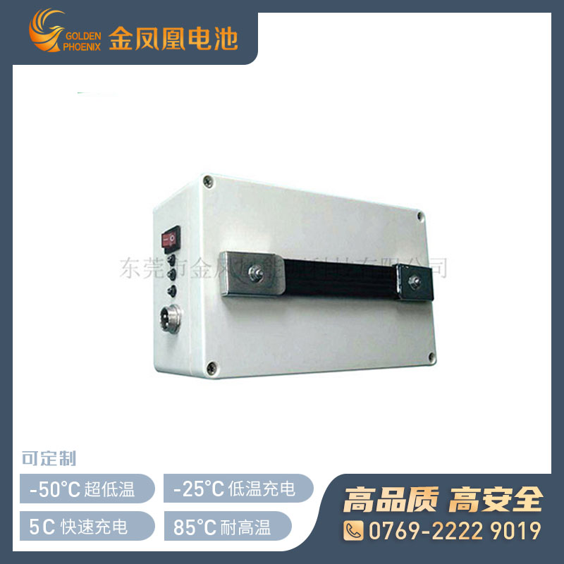 48.0V 20.0Ah高电压电池