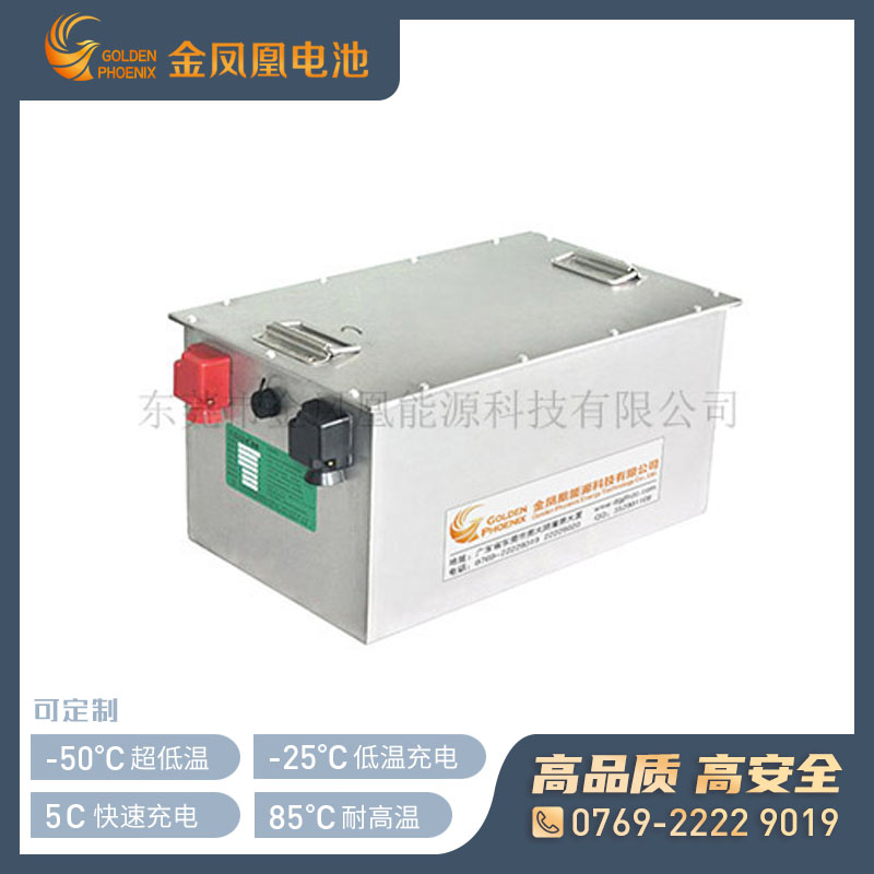 48.0V 20Ah高电压电池