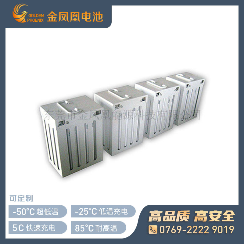 48.0V 100.0Ah高电压电池
