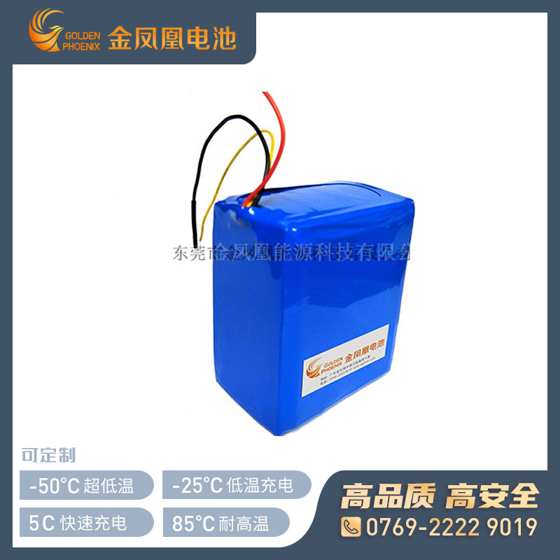 JFH-808-00(7.4V10Ah) 18650锂离子电池