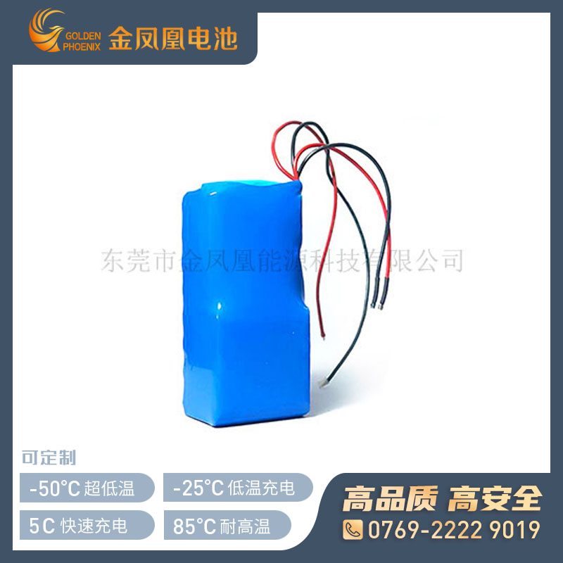 37.0V 5000mAh锂离子电池