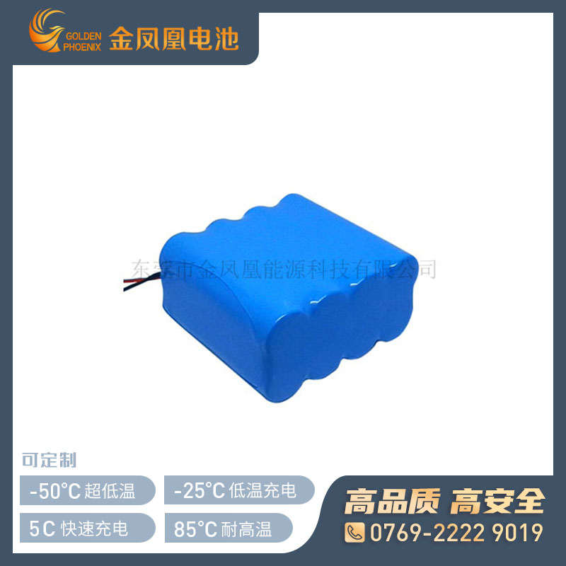 7.4V 10.0Ah锂离子电池