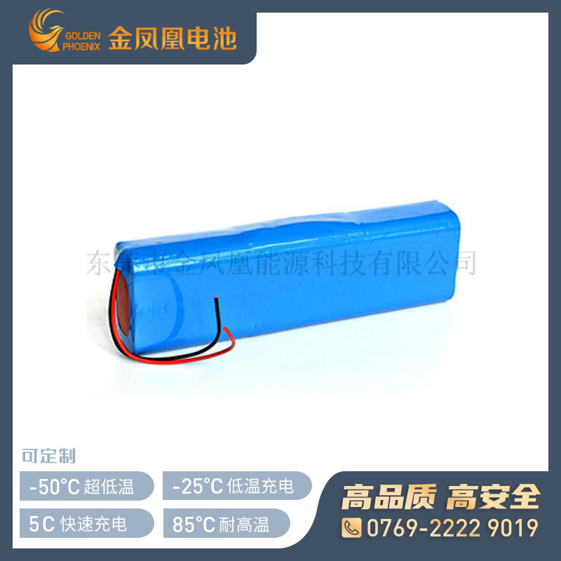 11.1V 10.0Ah锂离子电池