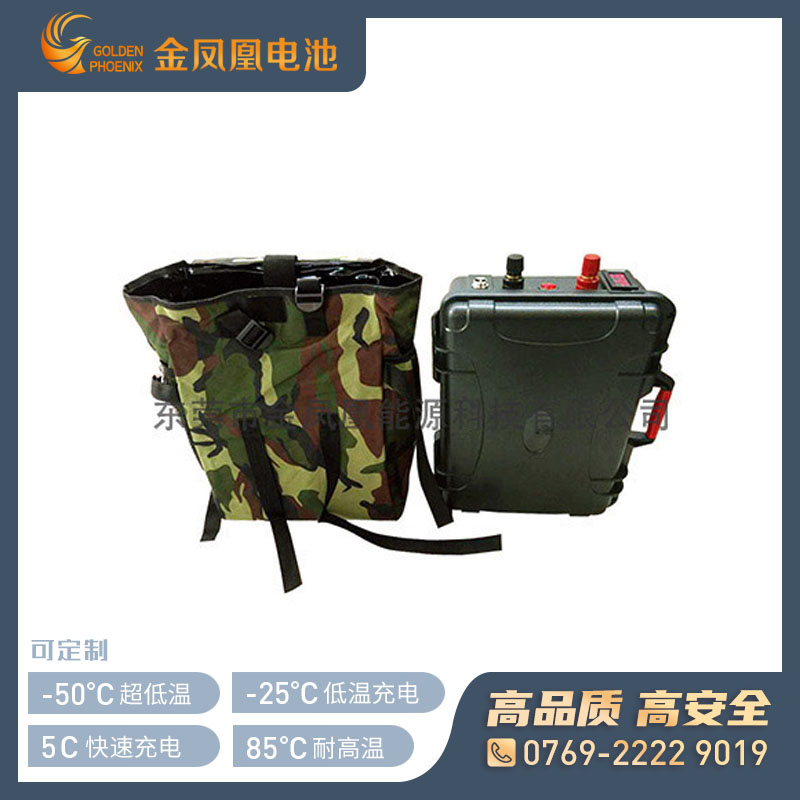 12.8V 100Ah磷酸铁锂电池