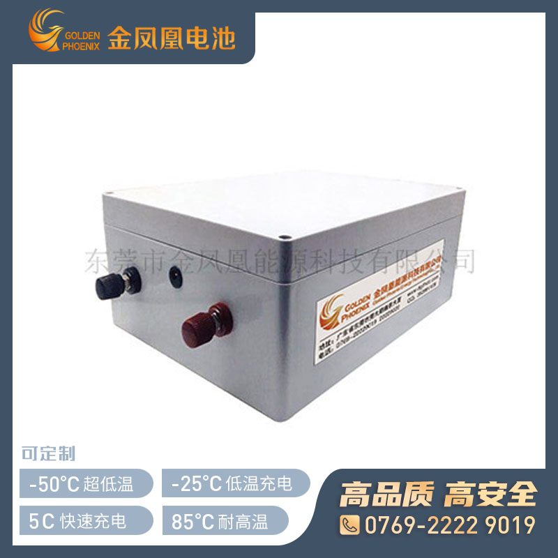 48.0V 120Ah磷酸铁锂电池