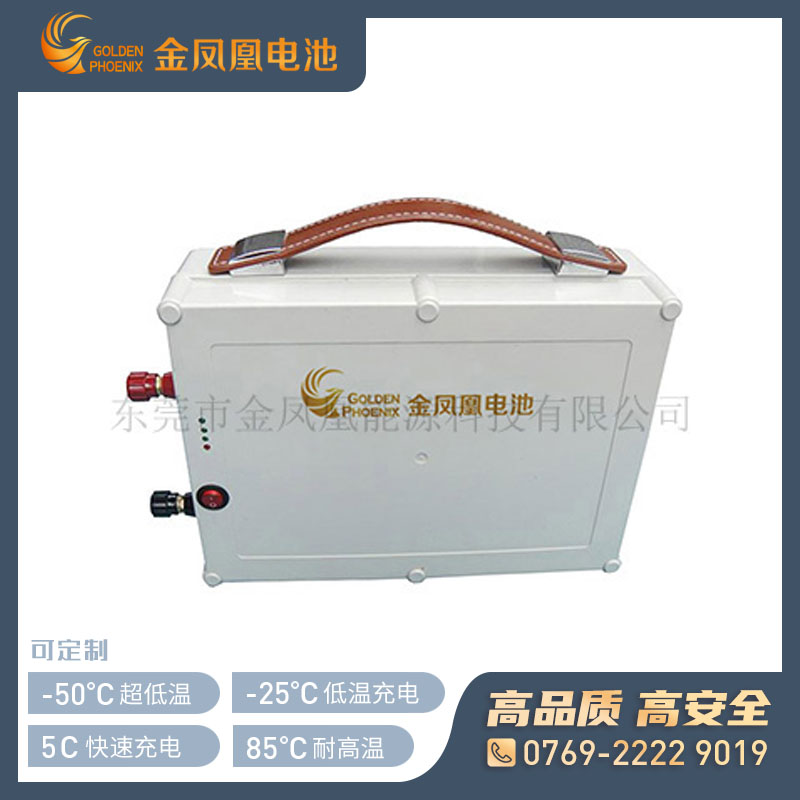 25.9V 25Ah便携锂电池