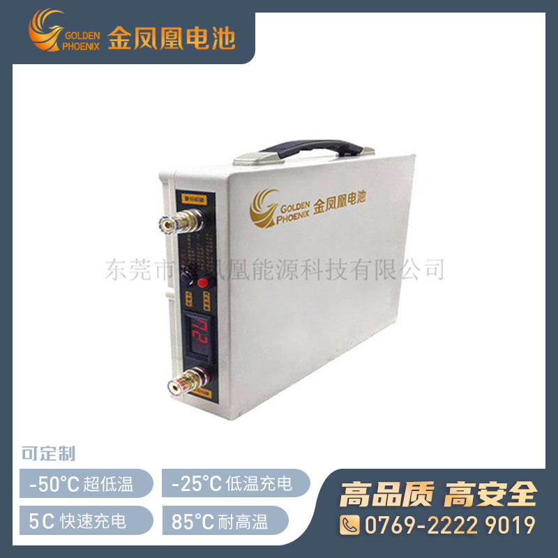 24.0V 25.0Ah便携锂电池