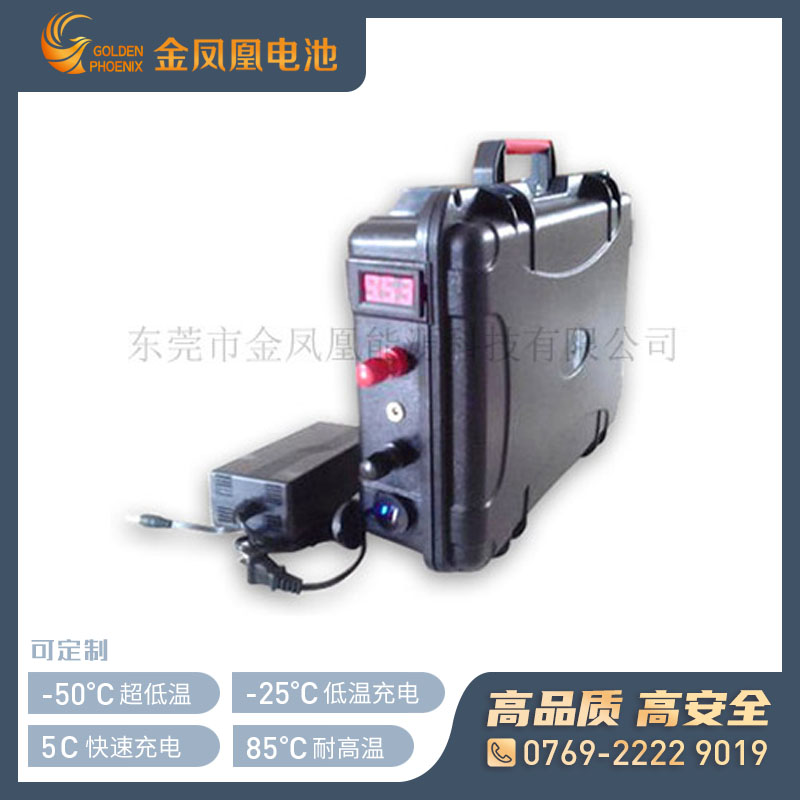 11.1V 15Ah户外锂电池