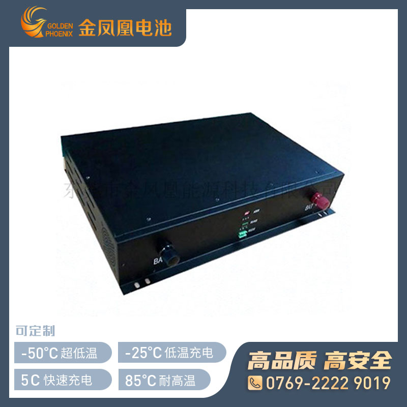 48.0V 80Ah锂电池