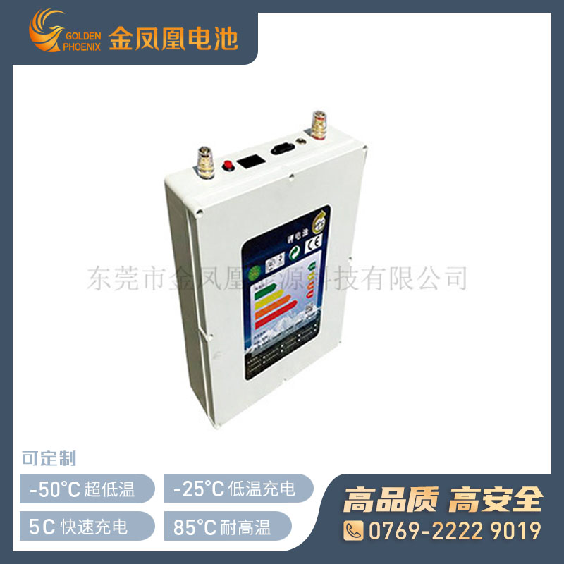 24.0V 30Ah储能锂电池