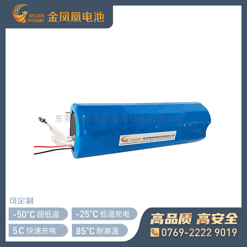 JFH-436-00(21.6V38.4Ah)