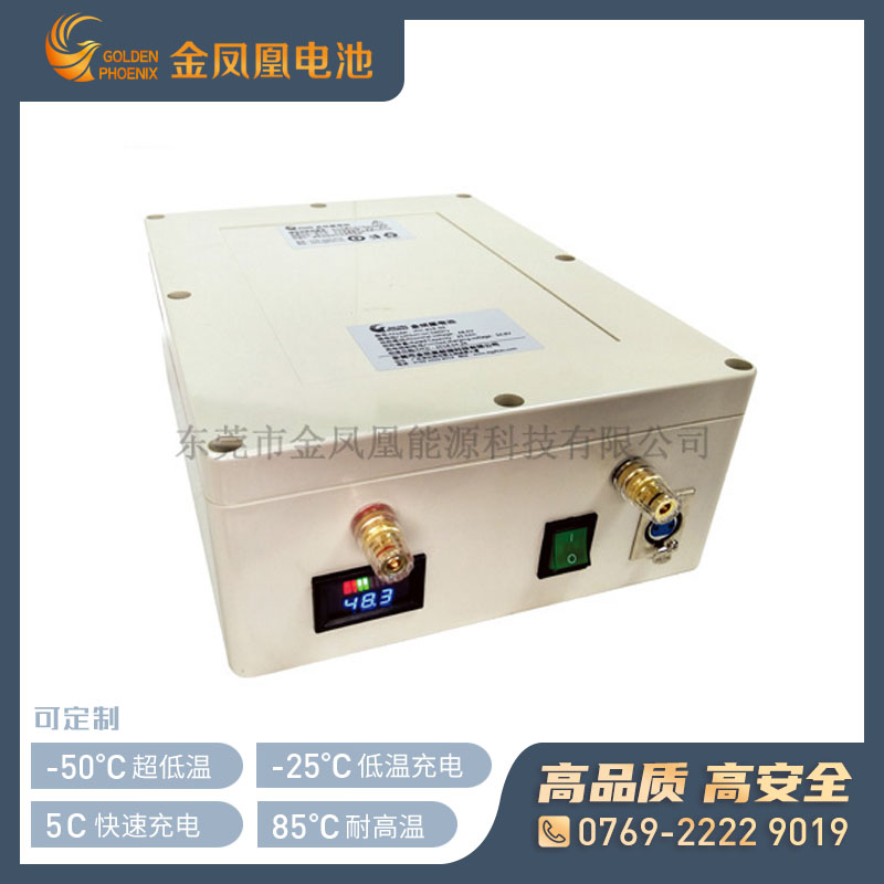 JFH-851-00(48V25Ah）消防设备用电池